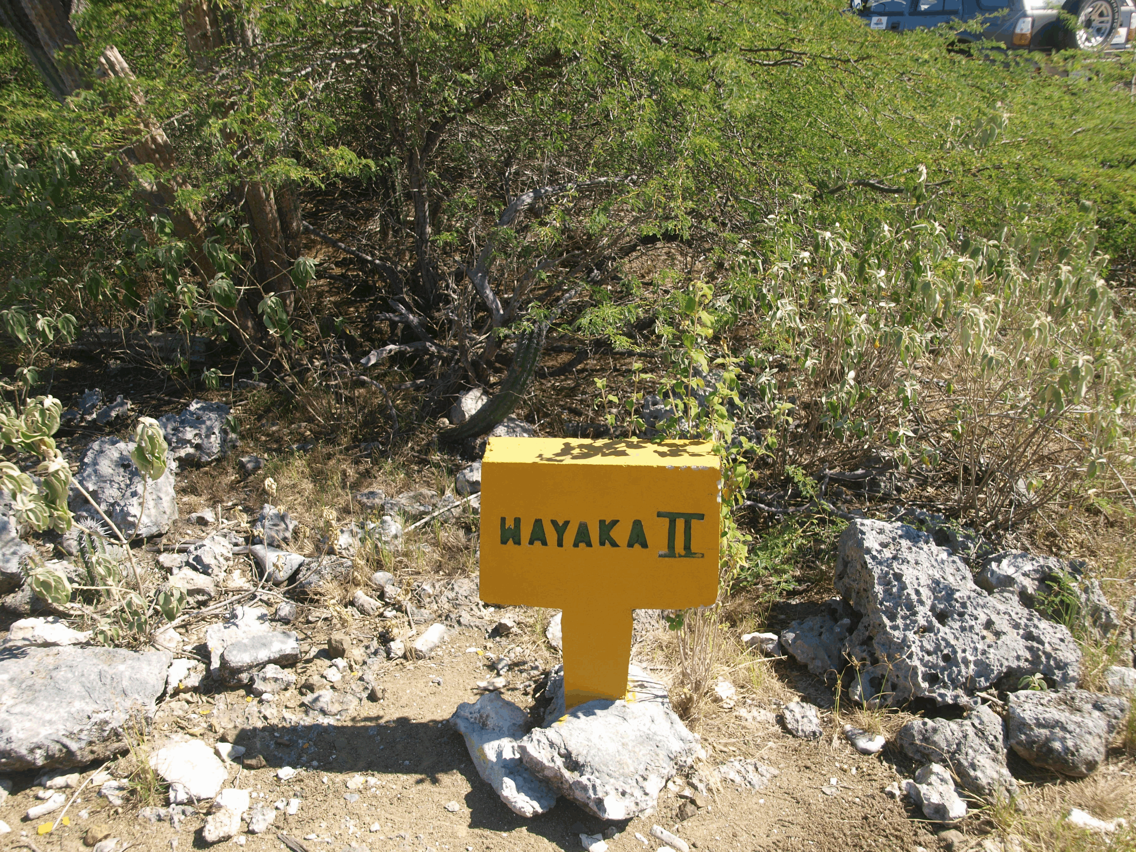 wayaka